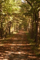 Buckeye Trail Trail